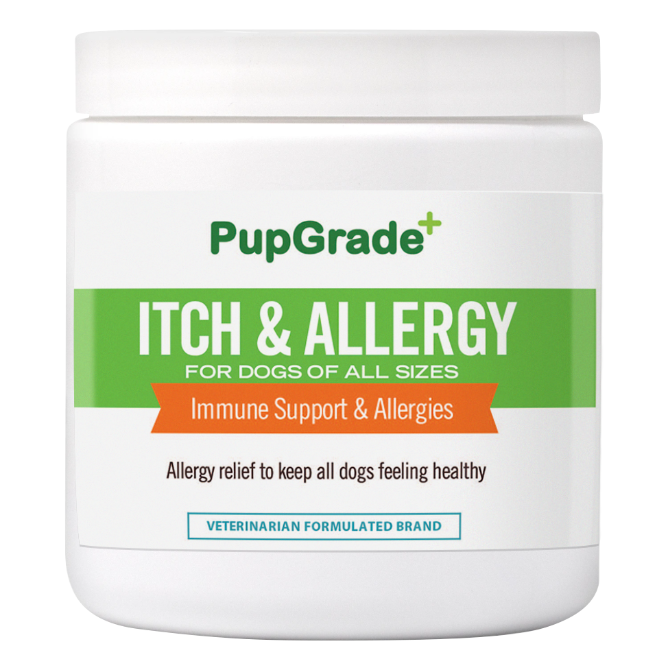 Top 5 Itch & AllergyRelief Supplements For Dogs in 2022 PupGrade Blog